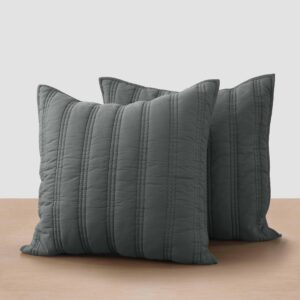 Organic Cotton Percale Euro Sham Set in Blue